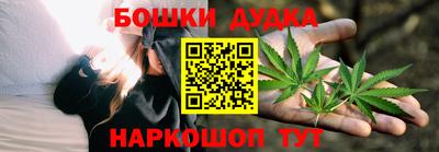 гидропоника Пугачёв