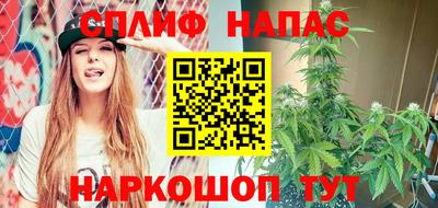 гидропоника Пугачёв